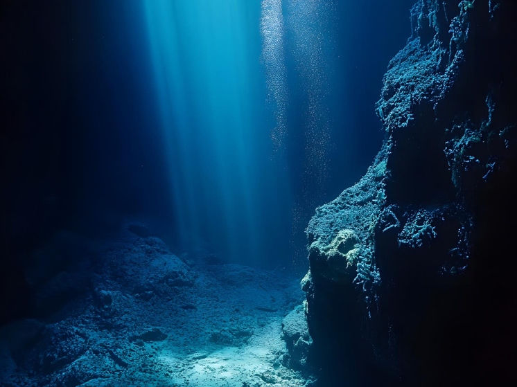 PNAS Nexus: Раскрыто, что содержат бочки на дне океана у Лос-Анджелеса