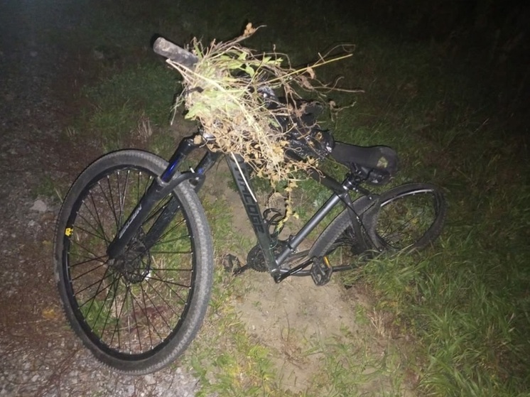 На курганской трассе автомобиль Renault сбил пенсионера на велосипеде