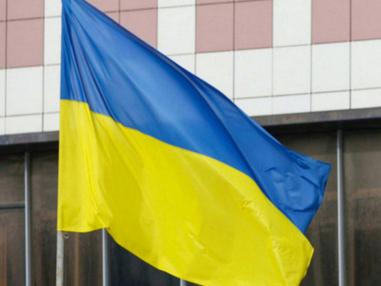 Нардеп Кицак: отсутствие финансовой помощи Европы приведет к краху Украины