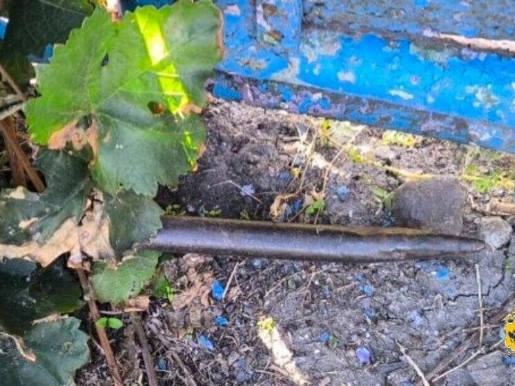 В Херсонской области мужчина украл из чужого гаража домашнюю консервацию