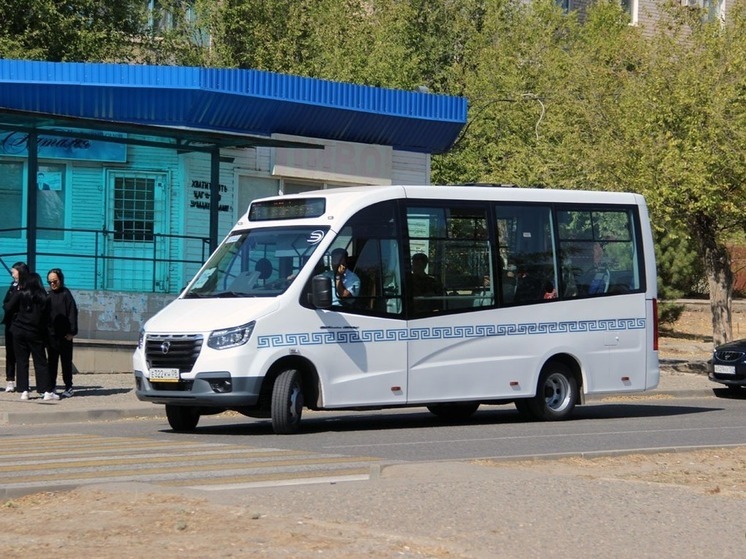 В День города проезд в Элисте будет бесплатным