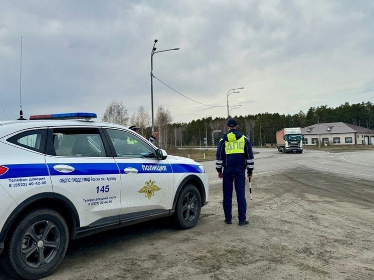 Госавтоинспекция анонсировала массовые проверки водителей на дорогах Курганской области