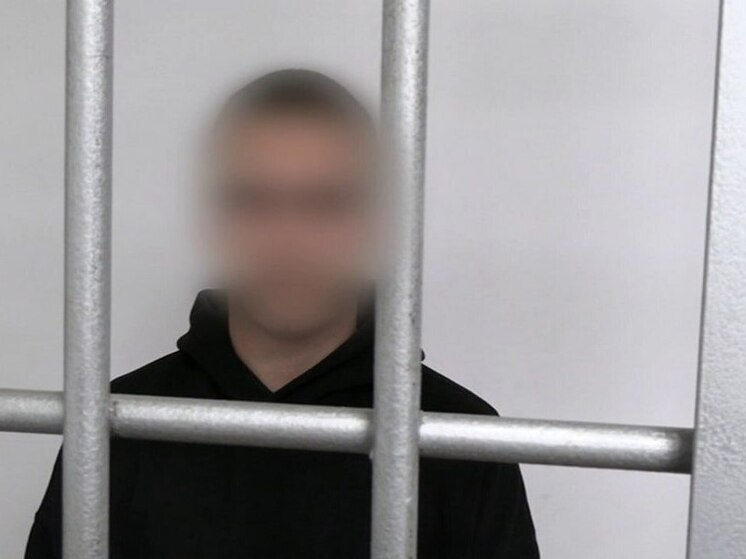 В Саратовской области задержали мошенника-курьера