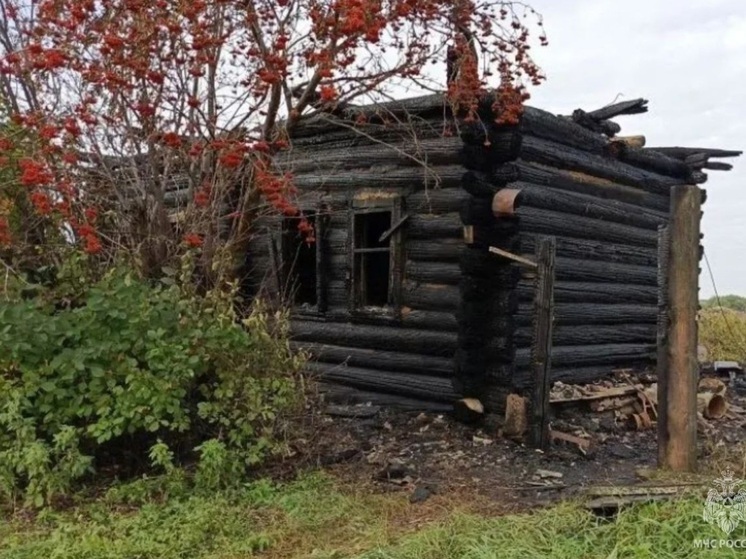 45-летний курганец заживо сгорел в своем доме