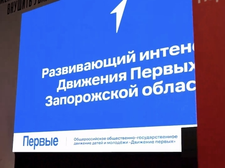Наставники «Движения Первых» Запорожской области обменялись опытом на развивающем интенсиве