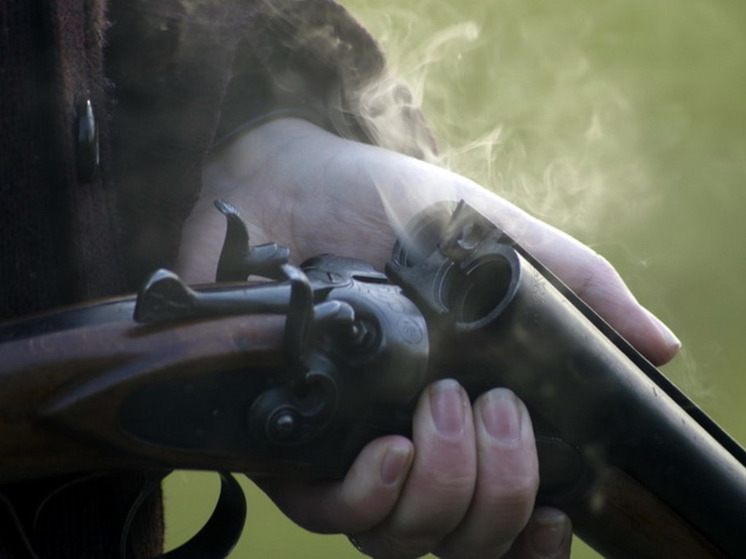 В Марий Эл выявлено три случая незаконной охоты