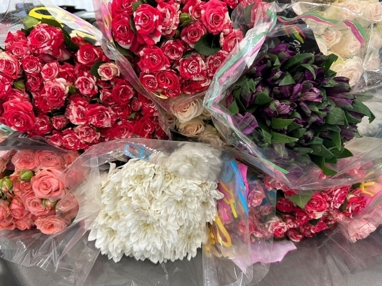 Сотни импортных хризантем и гвоздик в Псковской области оказались заражены живыми имаго насекомых