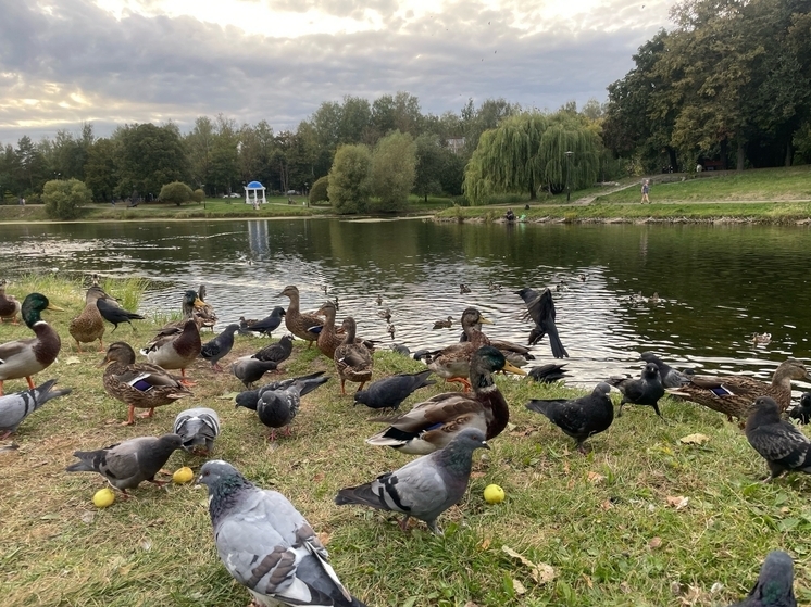 В Смоленск пришла настоящая осень