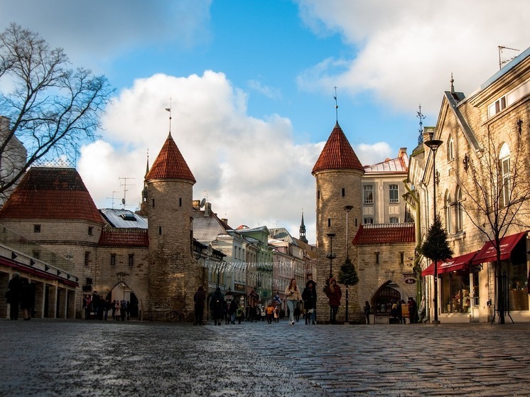 Стефанов: закупка мешков для трупов вызвала панику в Эстонии