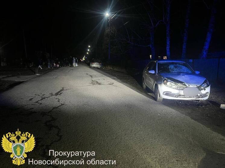 Жительница Новосибирской области получила 9 лет колонии за ДТП с двумя погибшими