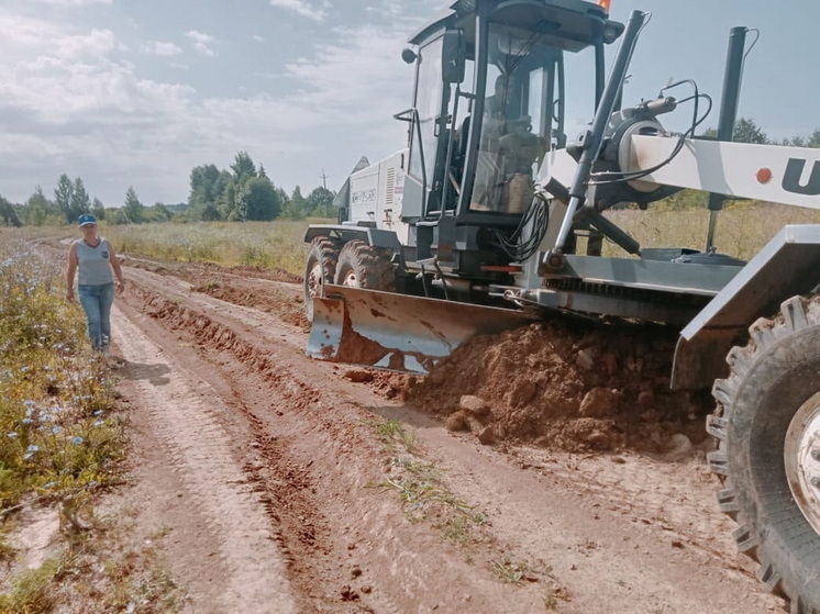В оршанской администрации дали комментарий о дороге в деревне Зайцево
