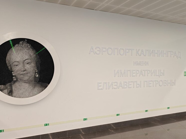 Нетрезвого москвича не пустили на борт самолёта