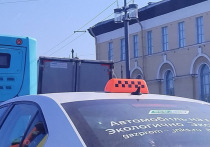 В Мурманской области депутаты предложили запретить иностранным гражданам работать водителями такси