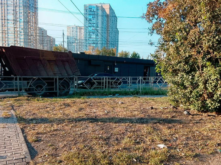 Грязь, голуби и неприятные запахи: липчане жалуются на антисанитарию