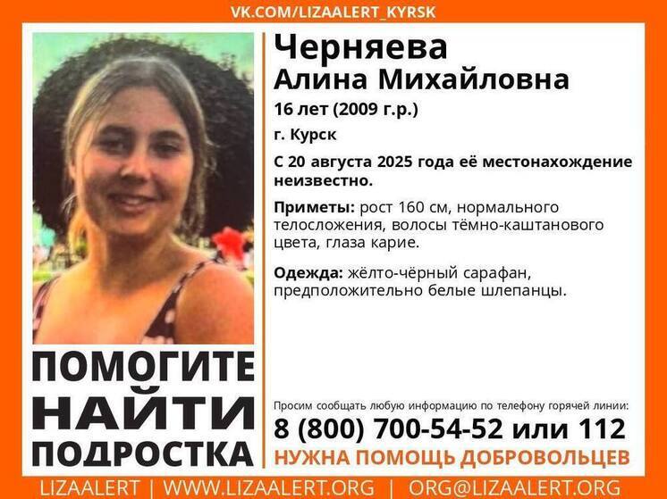 В Курске почти месяц ищут 16-летнюю Алину Черняеву