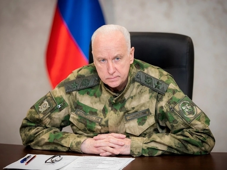 Глава СК России взял на контроль дело о нападении мигранта на женщину в Ленобласти