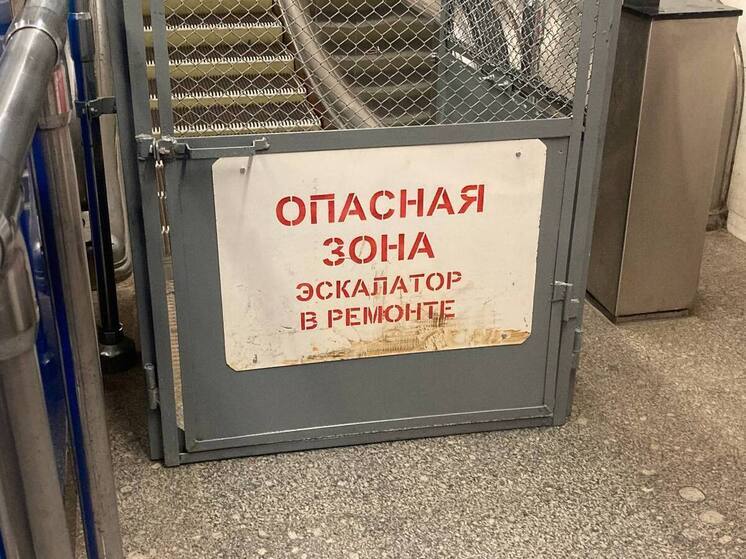 Ремонт эскалаторов на станции «Горный институт» вызвал давку