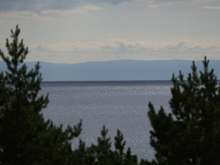 Международный лесоклиматический форум собрал в Приангарье более 300 участников