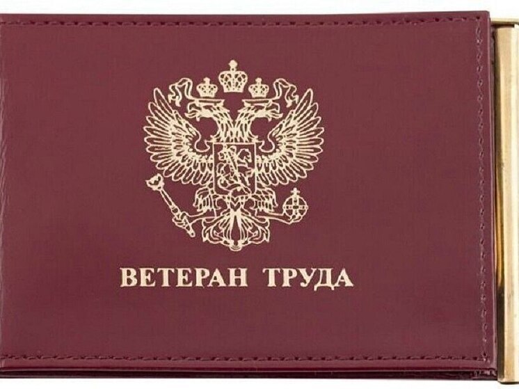 Более 84 тысяч орловских ветеранов труда получают господдержку