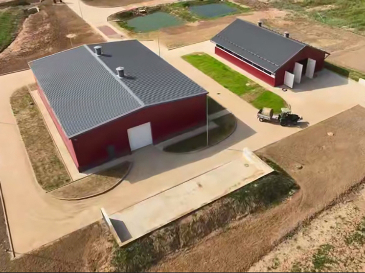 В Калужской области решили производить миллион тонн молока в год