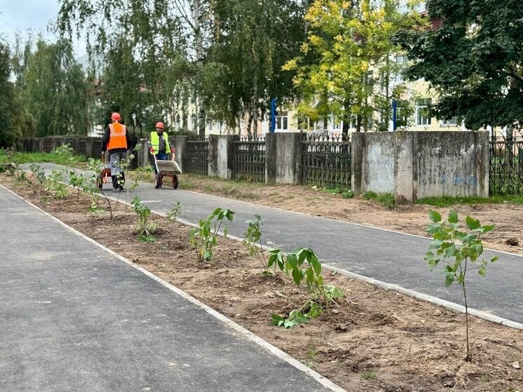 В Великом Новгороде начали приводить в порядок сквер «Минутка»