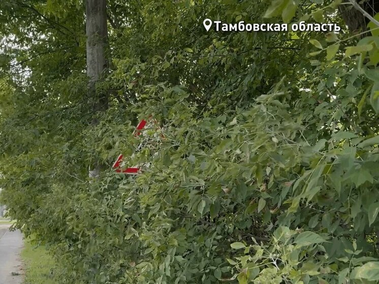 При проверке уличных знаков тамбовские общественники обнаружили тревожные факты