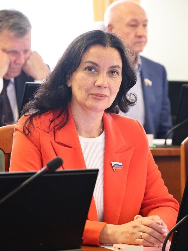 Депутат Гриневич выступила за оперативный старт отопительного сезона