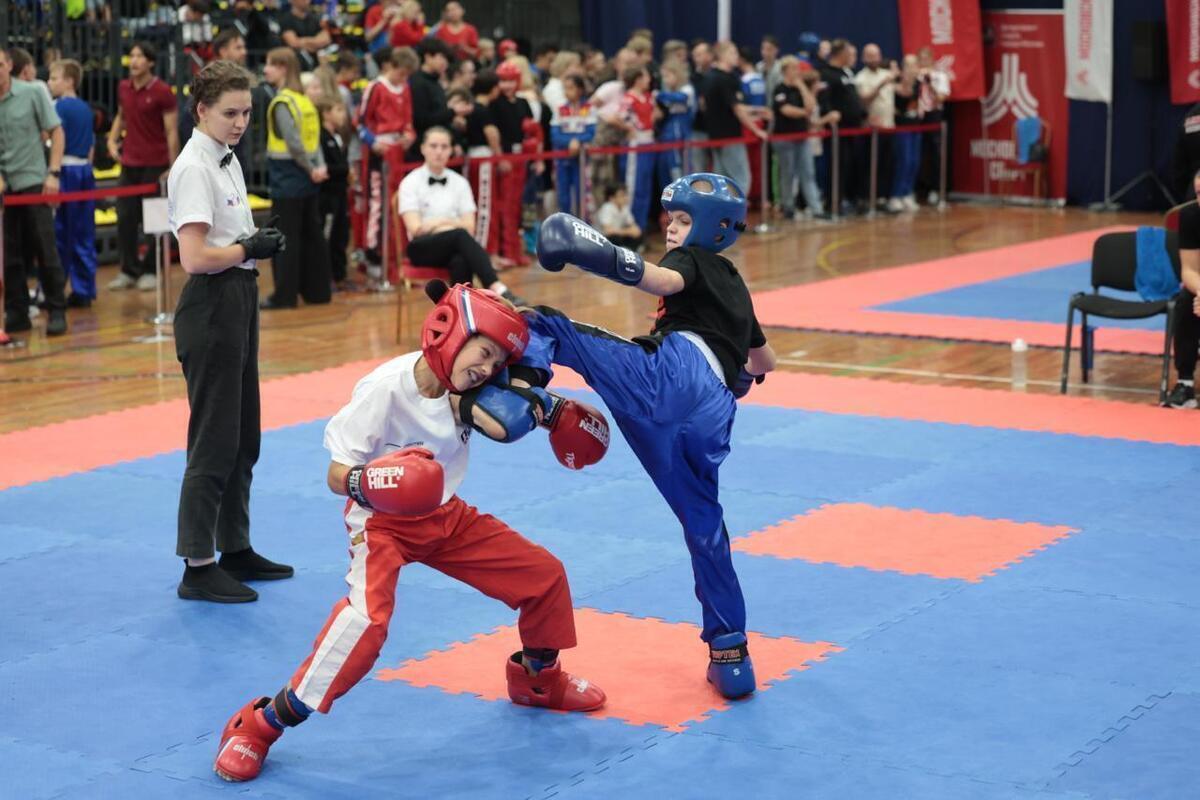 Кубок мира по кикбоксингу пройдет в Чувашии