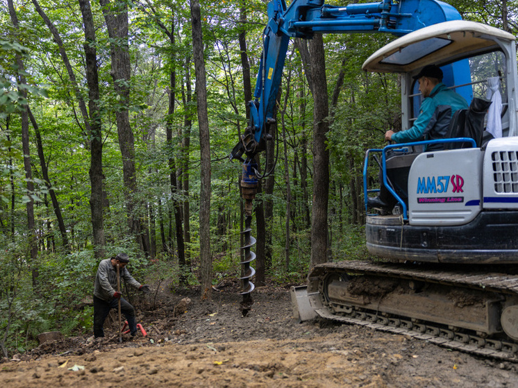 В парке Снеговая Падь во Владивостоке появится новая зона отдыха с видом на город
