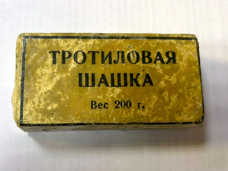 Женщина с Камчатки торговала тротилом посредством интернета