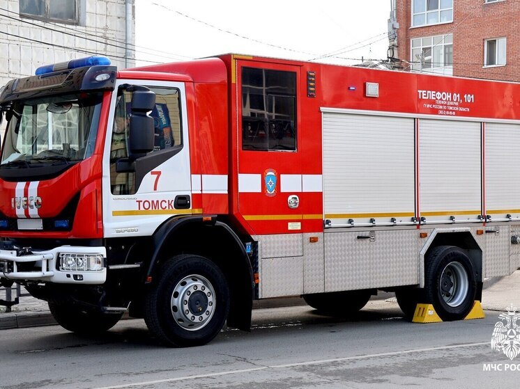 Шесть возгораний потушили в Томской области в минувшие сутки