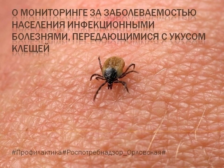 Почти 3 000 жителей Орловской области пострадали от укусов клещей