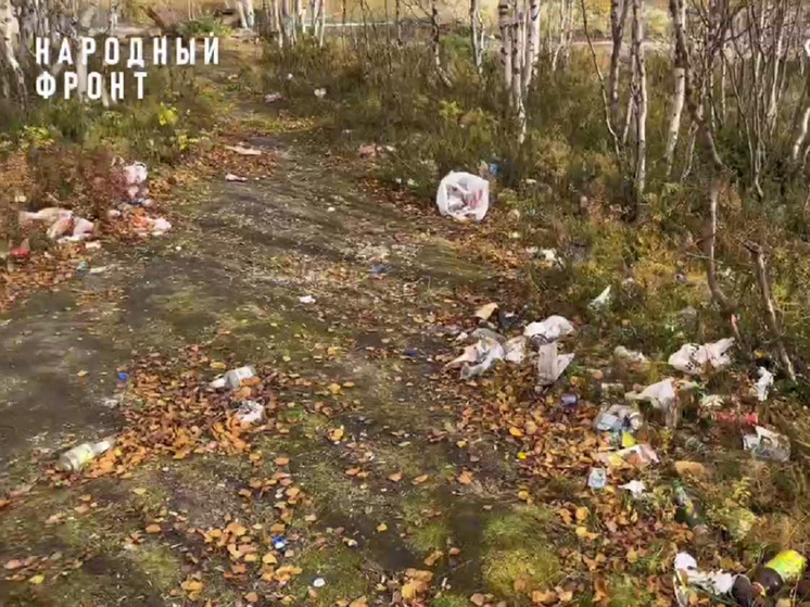 Жители Салехарда превратили в свалку лес рядом с садиком и школой