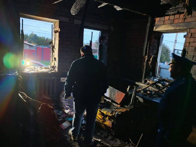 Прокуратура взяла на контроль проверку пожара с погибшим в Аликовском районе