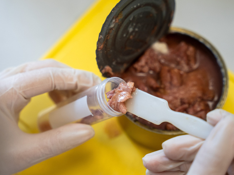 В Орловской области обнаружили наличие азитромицина в мясных консервах