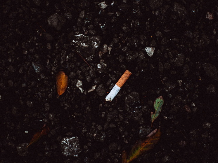 В Йошкар-Оле впервые оштрафовали человека за брошенный мимо урны окурок