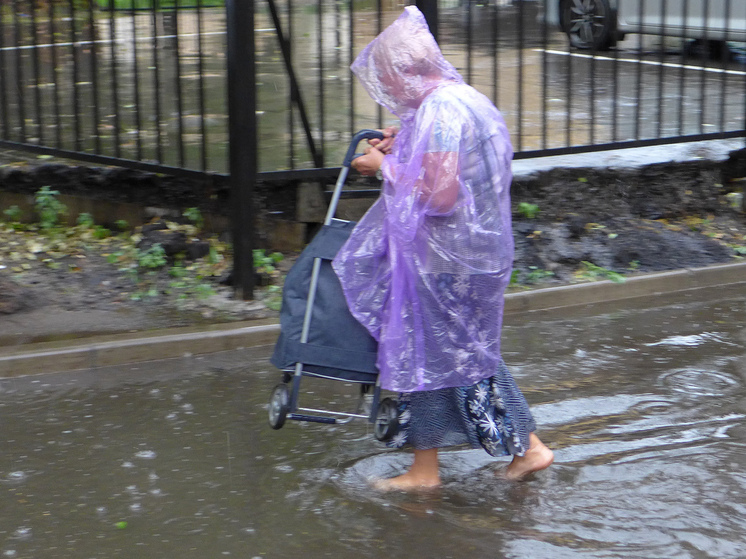 Тишковец: в Крыму за сутки выпали две месячные нормы осадков, в Сочи – 70%