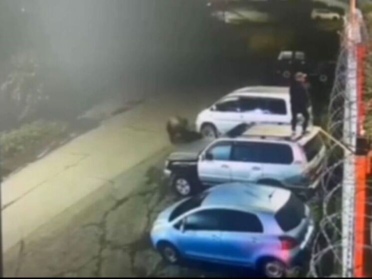 На Камчатке медведь устроил погоню за местным жителем