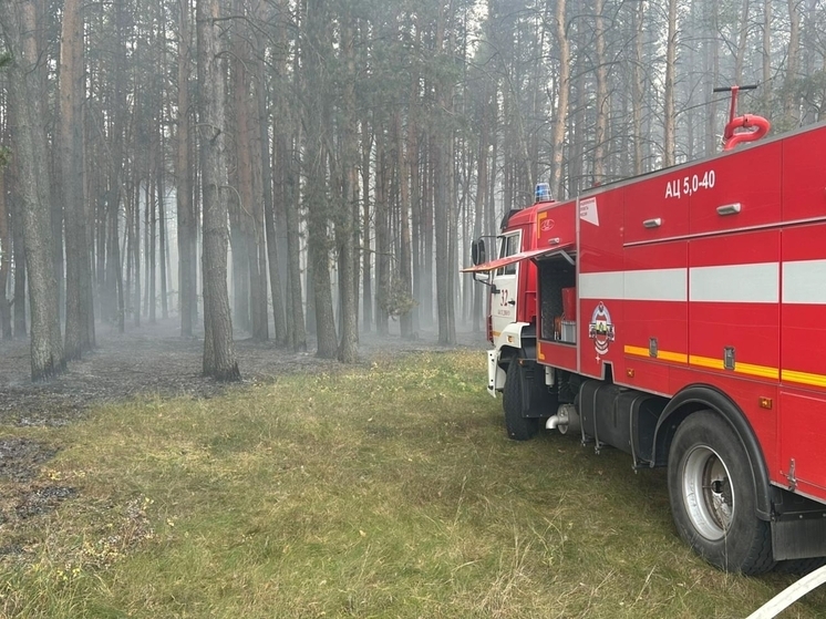 В Курском районе огнеборцы потушили лесной пожар возле Барышниково