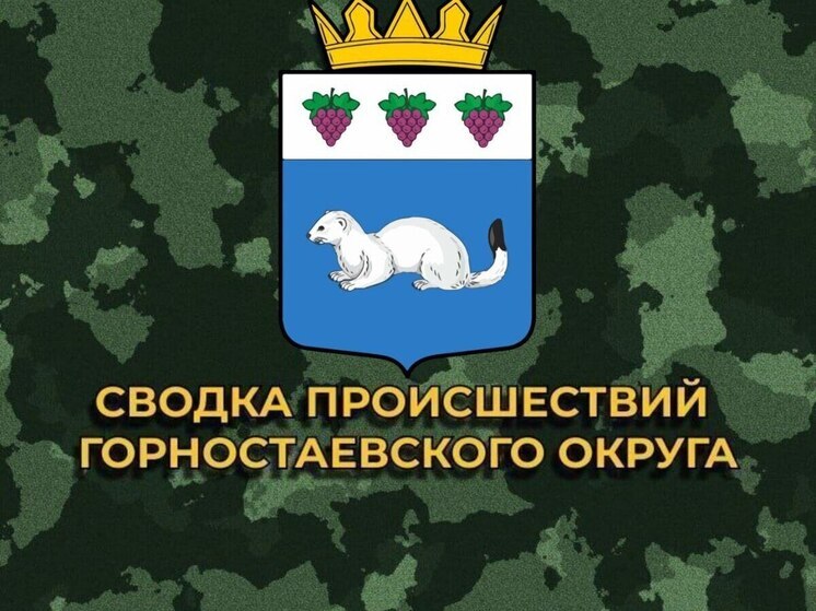 За минувшие сутки ВСУ 12 раз обстреляли Горностаевский округ