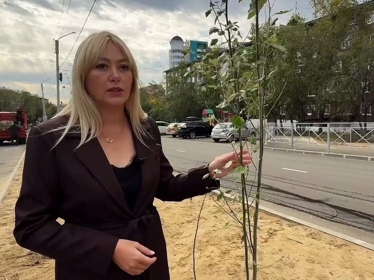 В Улан-Удэ на улице Пушкина высадили аллею серебристых тополей