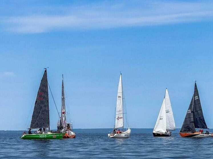 В Чебоксарах стартовал чемпионат ПФО по парусному спорту