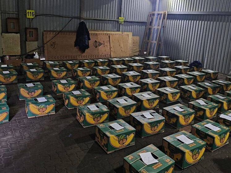 В порту Петербурга в бананах нашли рекордную партию кокаина на 20 млрд рублей