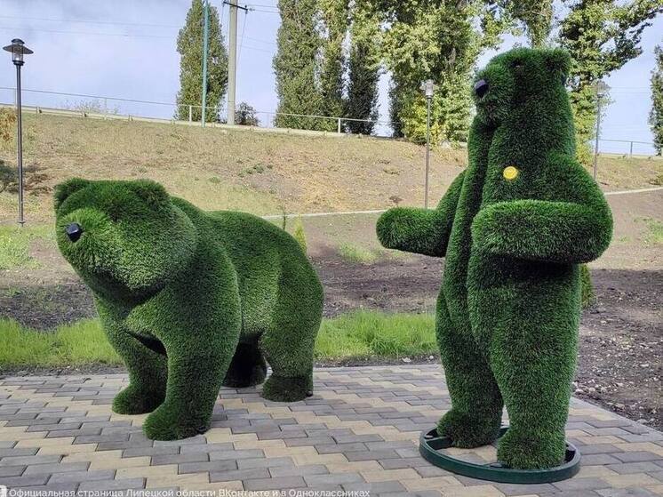 В липецком парке Волово возникли зеленые медведи