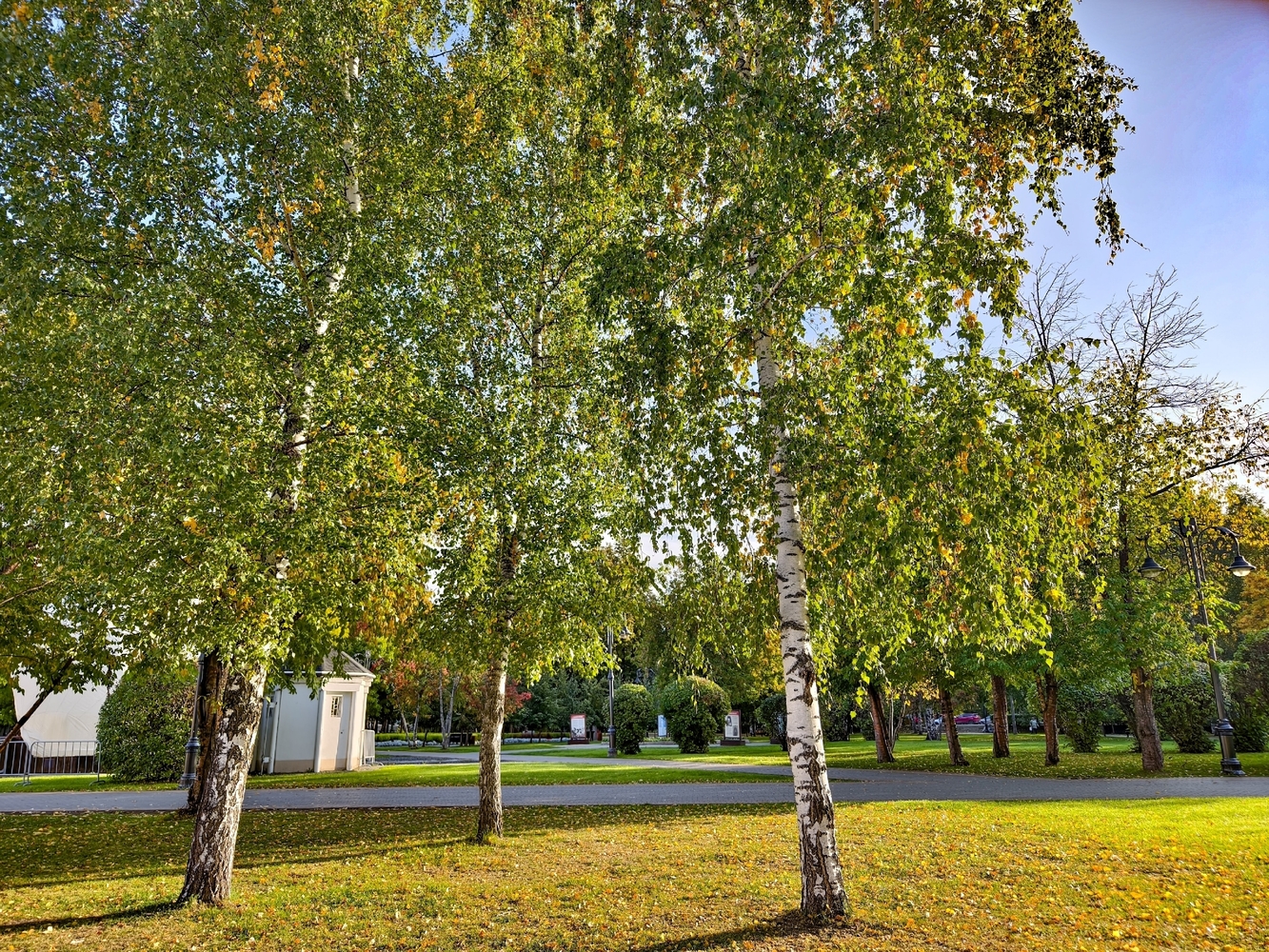 Осенний вид Томска