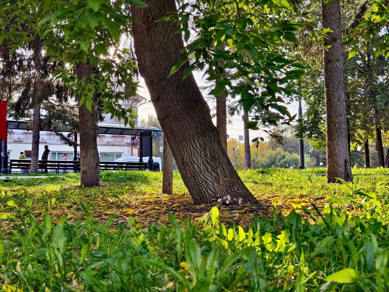 Осенний вид Томска