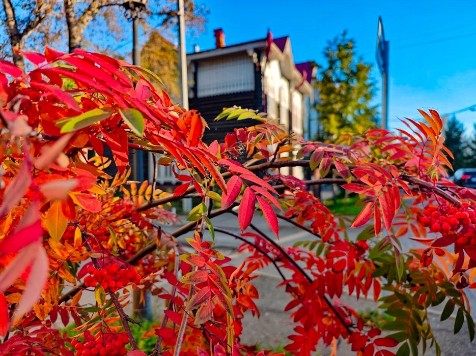 Осенний вид Томска