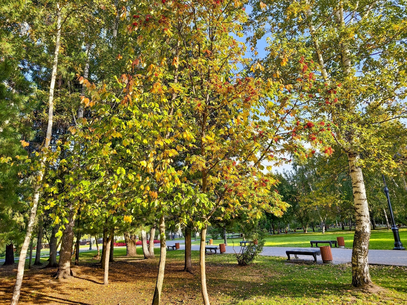 Осенний вид Томска