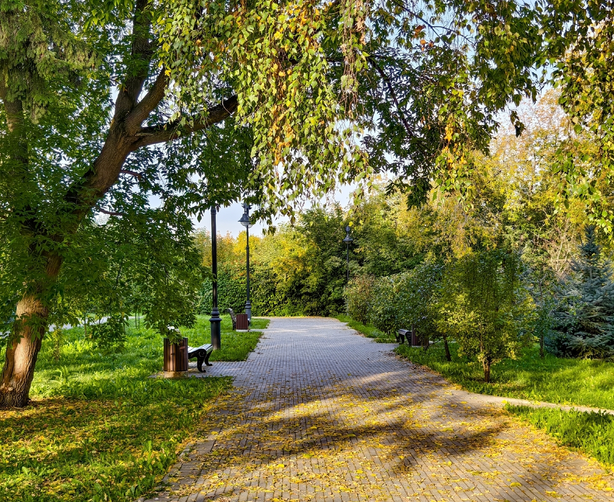 Осенний вид Томска