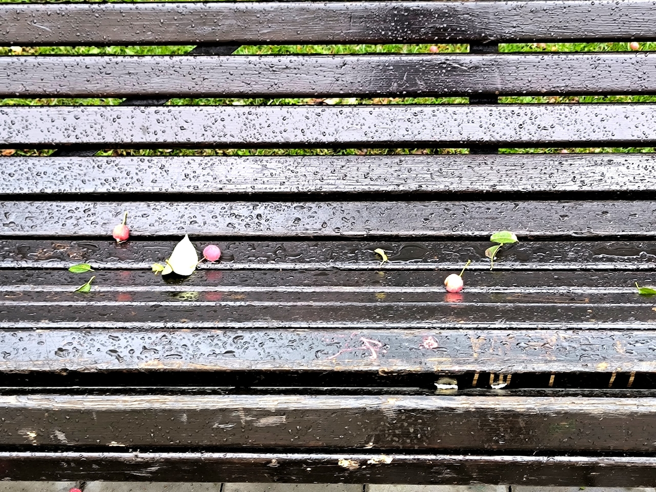 Осенний вид Томска